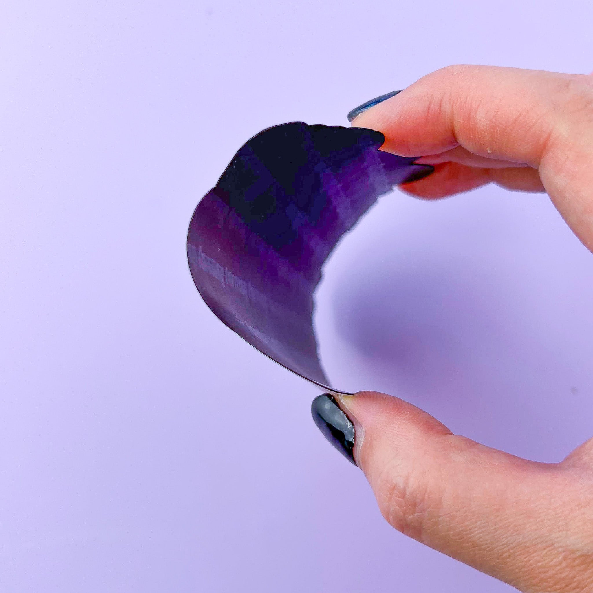 Ímãs Ratinhos + Comidas japonesas