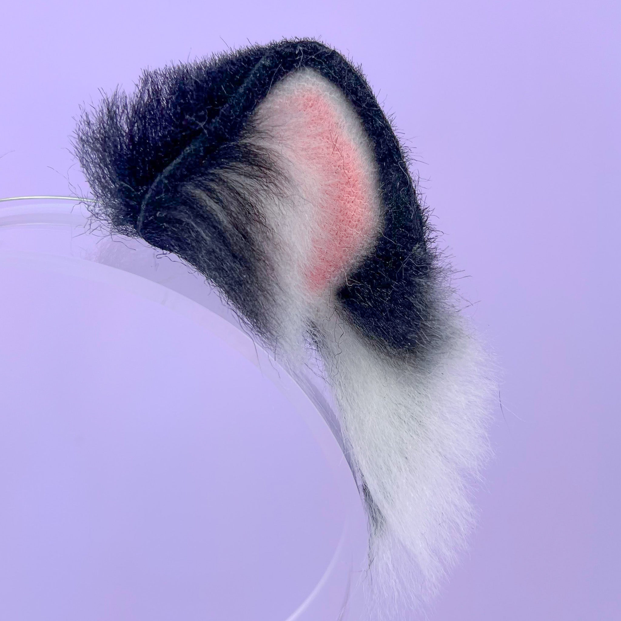 Orelhas Mini Kitty Classic